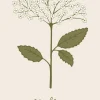 Tilbehør Til Bordet<Ib Laursen Serviet Elderflower 16 stk pr pakke