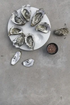 Skåle & Fade<BYON Serving plate Oyster