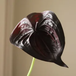 Kunstige Blomster & Træer<Botané Small Anthurium Flower
