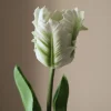 Kunstige Blomster & Træer<Botané Small Parrot Tulip Flower