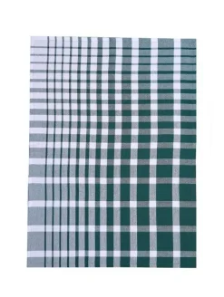 Tekstiler Til Køkkenet<Magasin du Nord Collection Tea Towels 50x70 cm ENZO - Check dark green