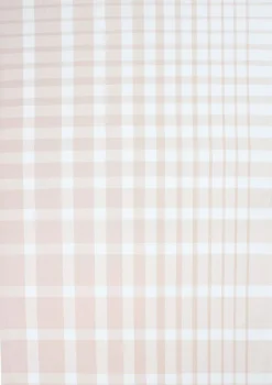 Tekstiler Til Køkkenet<Magasin du Nord Collection Tea Towels 50x70 cm ENZO - Check rose