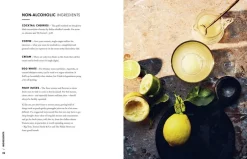 Bøger<New Mags The Cocktail Edit