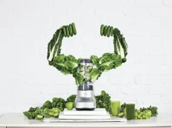 Køkkenmaskiner<SAGE the Fresh & Furious blender