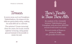 Bøger<New Mags The Little Book Of Prosecco