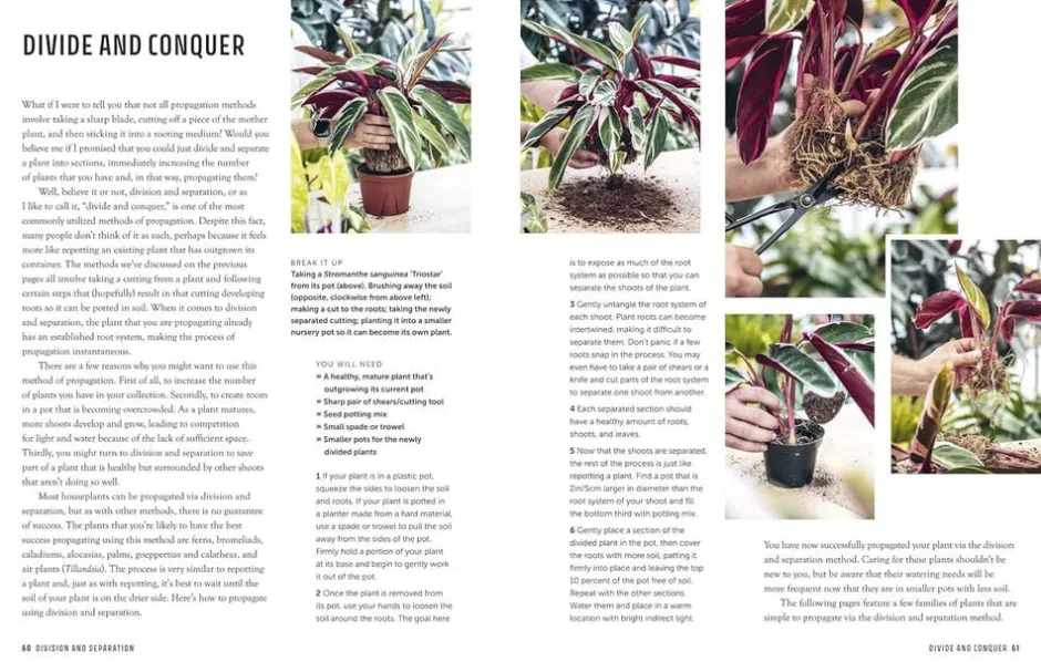 Bøger<New Mags The Propagation Handbook