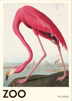 Plakater & Rammer<Poster & Frame The Zoo Collection Pink Flamingo Edt. 001 Flerfarvet