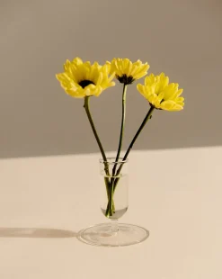 Vaser & Urtepotteskjulere<Hay Tiny Vase-Clear