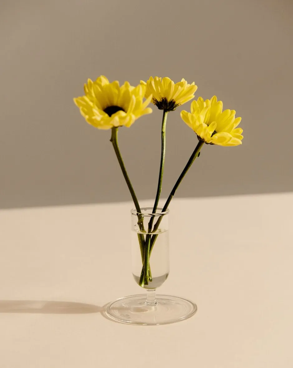 Vaser & Urtepotteskjulere<Hay Tiny Vase-Clear