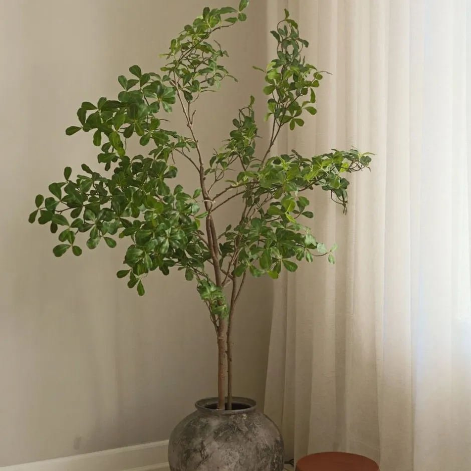 Kunstige Blomster & Træer<Botané Tropical Almond