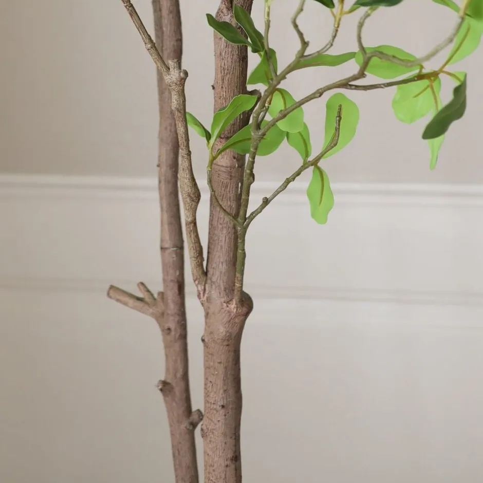 Kunstige Blomster & Træer<Botané Tropical Almond