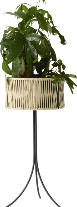Vaser & Urtepotteskjulere<Audo Copenhagen Umanoff, Planter, H 69