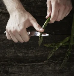 Køkkenknive & Sakse<Gastrotools Urtekniv
