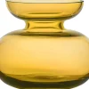 Vaser & Urtepotteskjulere<Zone Vase Inu 11x9 cm Amber