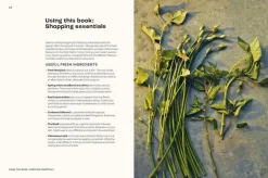 Bøger<New Mags Vietnamese Made Easy